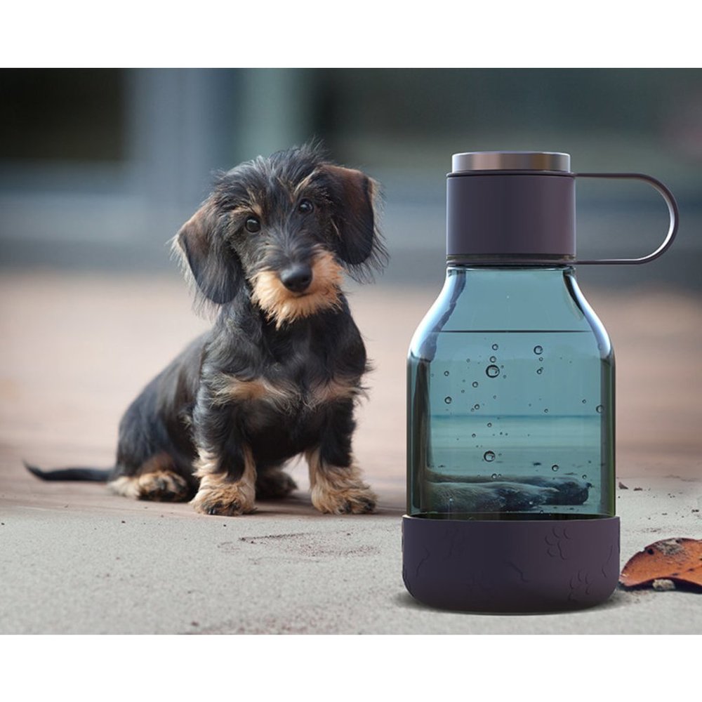 Water Bottle & Bowl Combo - Picture 5 of 8